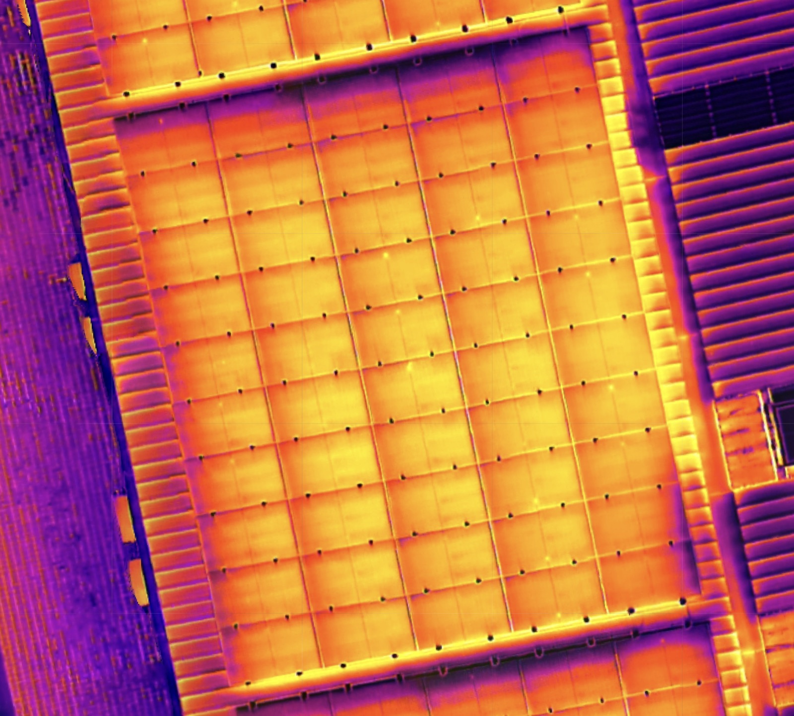 Thermographic image